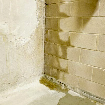 HUMIDABITAT : Votre expert contre l'humidité et la mérule. Belgique, France : Traitements contre l’humidité des murs, Traitements des caves humides, sous sols, garages, Imperméabilisation des façades, Elimination de la mérule.